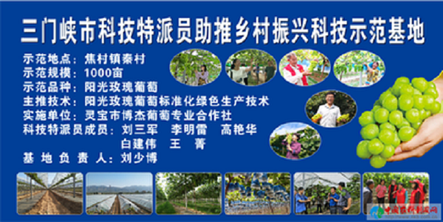 示范基地1.png 示范基地1.png