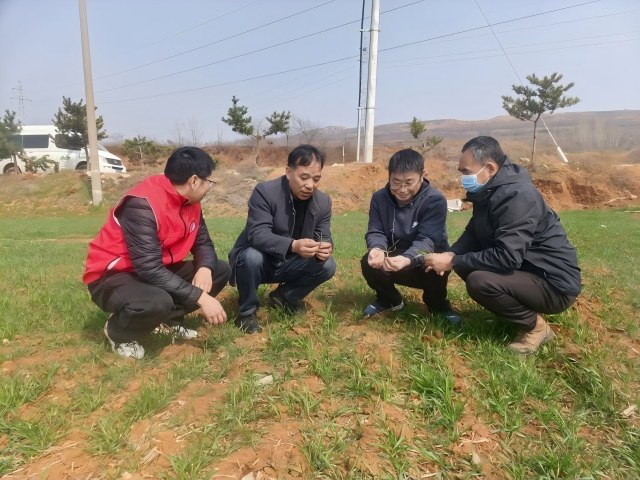 WPS图片(1).jpg WPS图片(1).jpg
