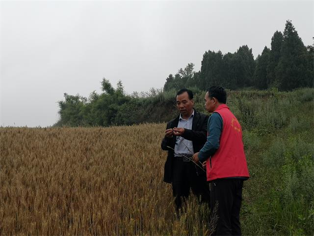 图片1.jpg 图片1.jpg