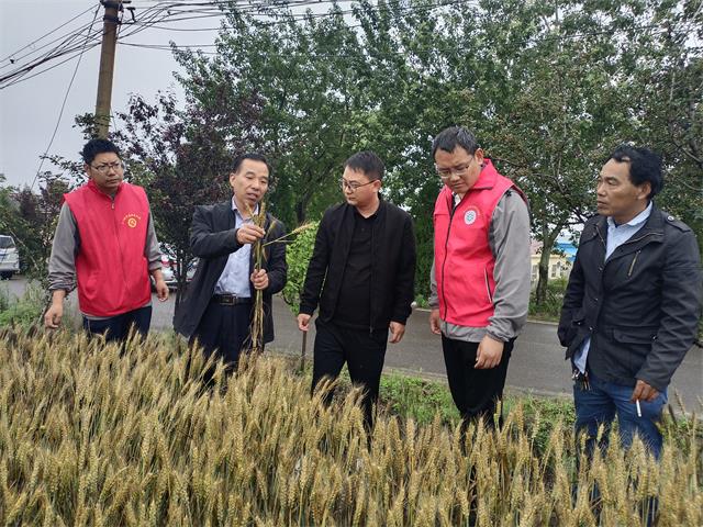 图片3.jpg 图片3.jpg