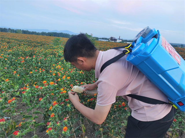 图片2.png 图片2.png