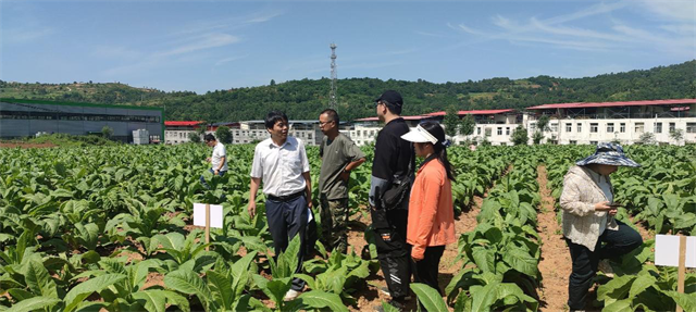 3.png 3.png