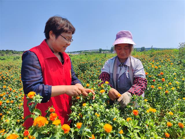 微信图片_20230831104010.jpg 微信图片_20230831104010.jpg