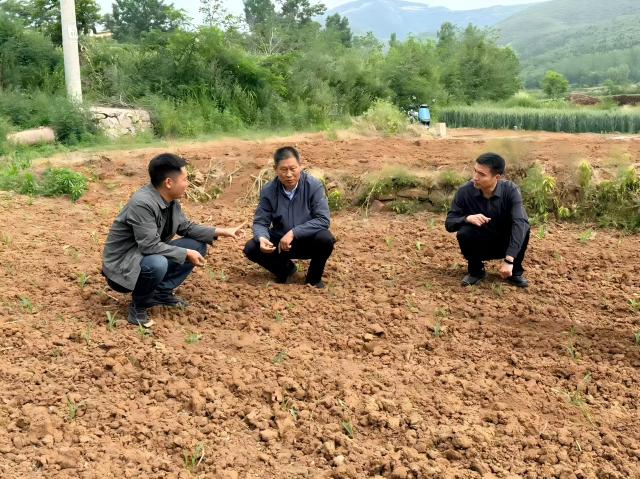 微信图片_20260511105330_484_65(1).jpg